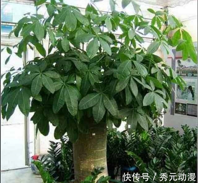 张取名字大全男孩：专业大师为您解锁男孩取名新姿势