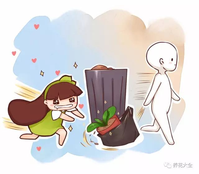 关于旭的网名：创意无限，个性彰显