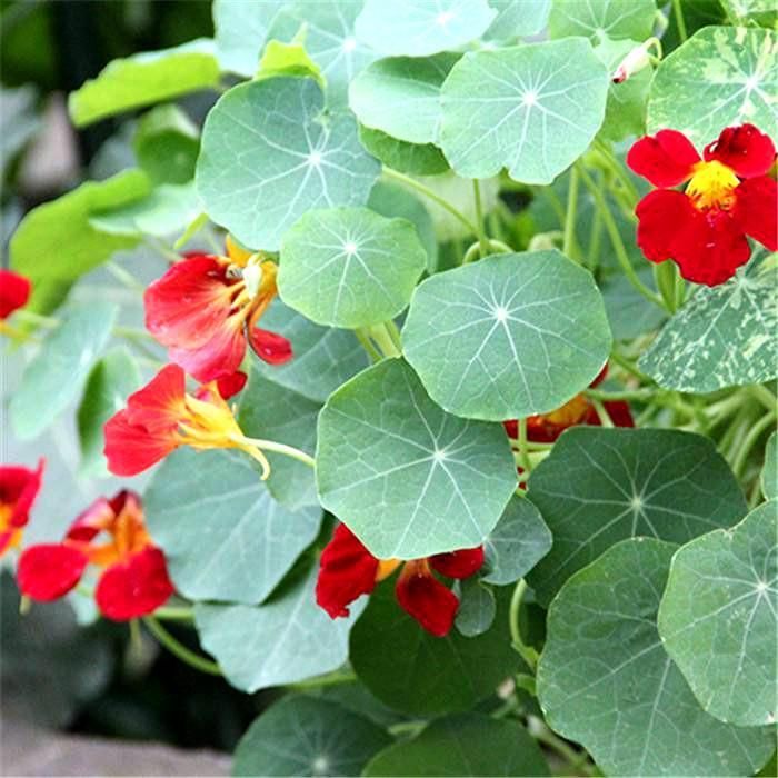 好听的男孩微信昵称：独特又个性，让你的微信更具魅力