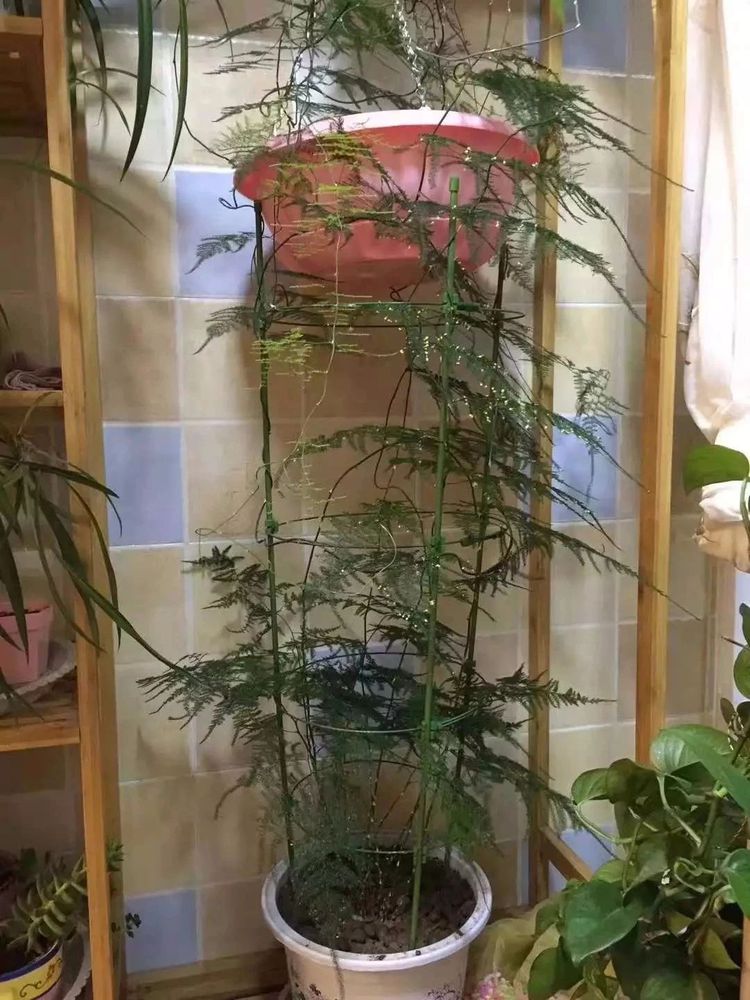 男孩火旁字：独特命名，温暖寓意
