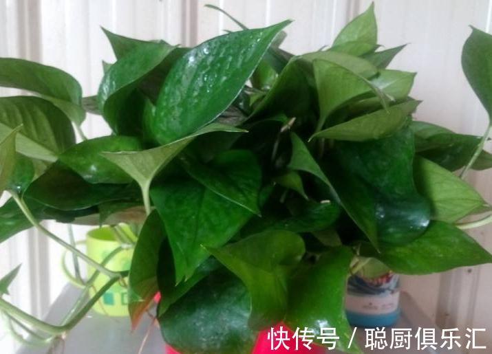 李氏取名大全男孩：专业推荐，助力成长