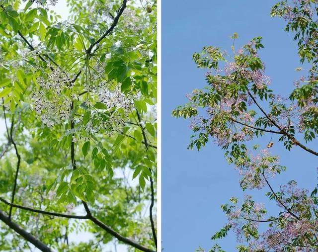 后面带泽字的男孩名字：寓意美好，独具韵味