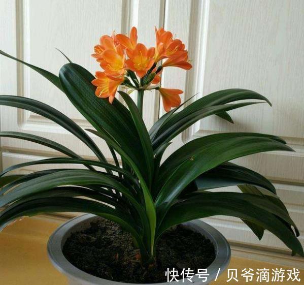 天歌网名：打造个性鲜明的虚拟身份