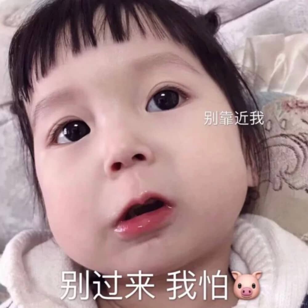 属狗申时出生的女孩取名攻略：吉祥名字示例与建议