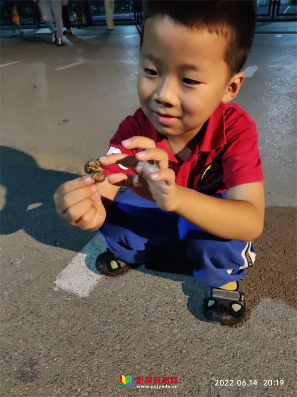 好听的网名女生霸气推荐：打造独特个性标签
