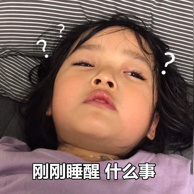 动物网名：如何创意取名的艺术