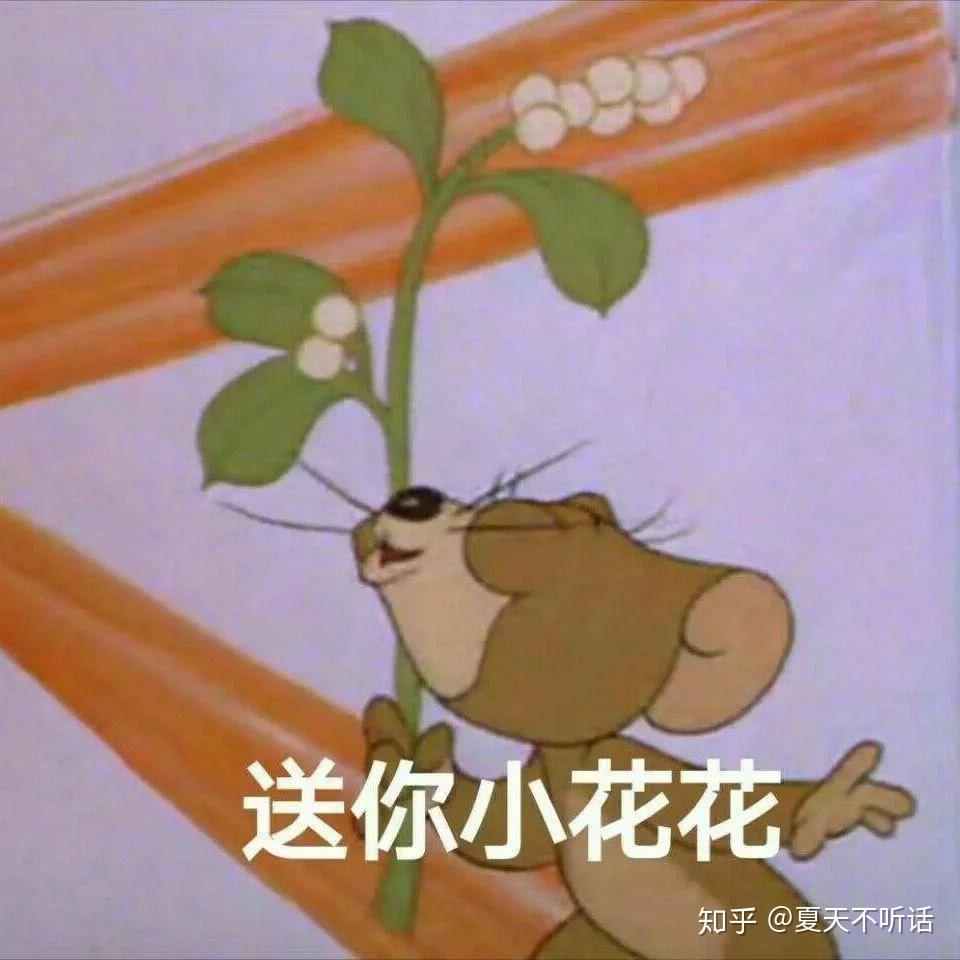 好看的四字网名：独特韵味，彰显个性