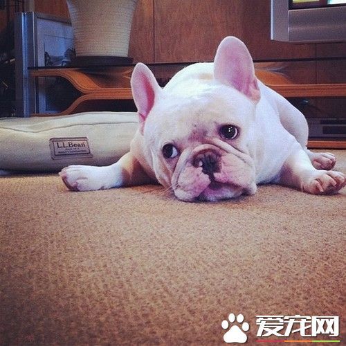 一字男孩起名：简洁而有内涵的名字选择