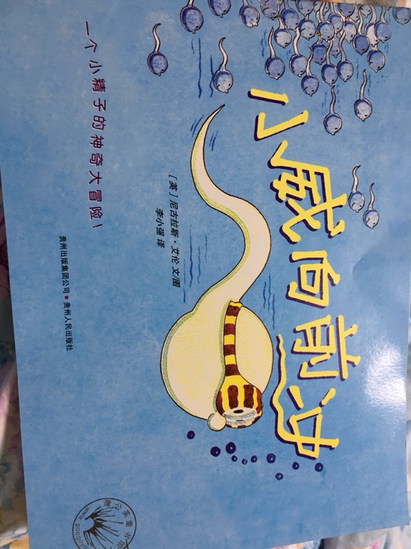 小孩子英文名字男孩：创意与传统的完美融合