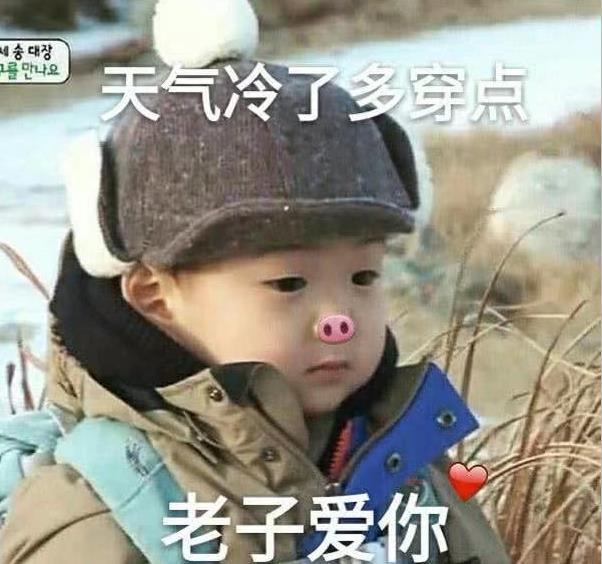 女孩名字优雅大气：探寻独特韵味与内涵