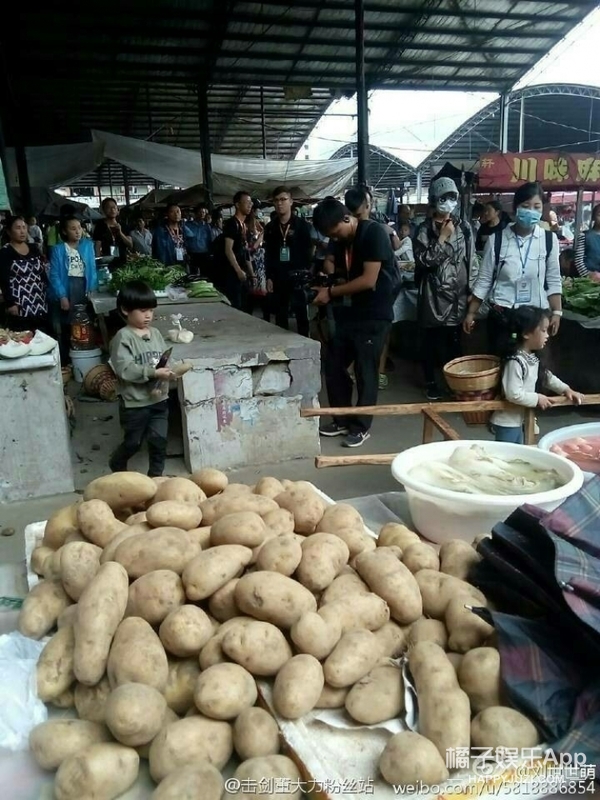 带菩提的网名：探寻心灵深处的宁静之地