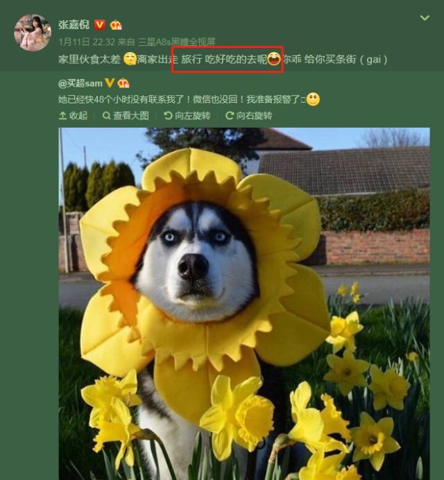 名人的英文名：探索背后的命名艺术