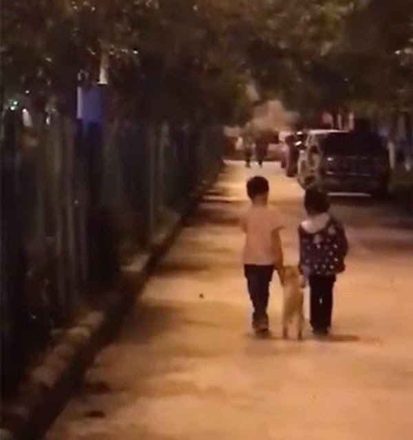 想念一个人的网名：如何用网络昵称表达深情