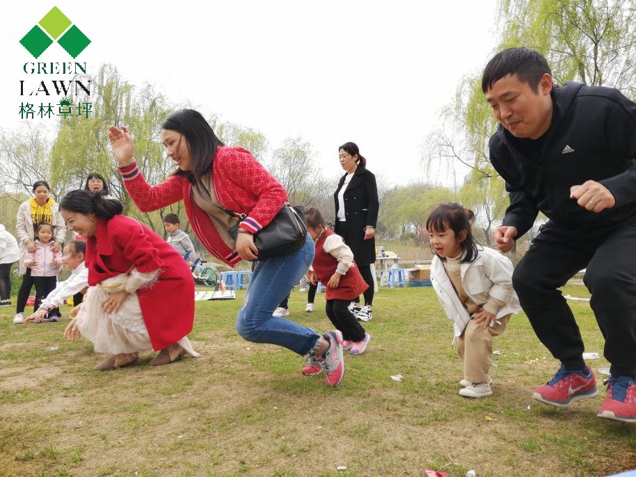 梦见给女孩梳头：探索梦境背后的深层含义与美好寓意