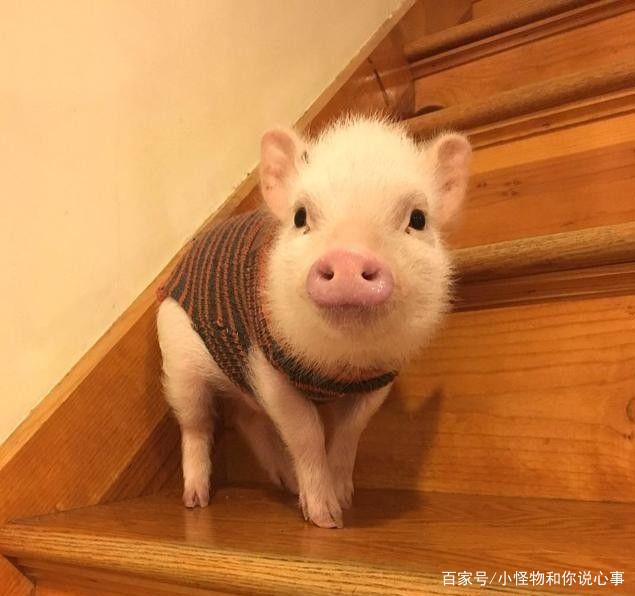代表好运的英文名字：为您的人生增添光彩