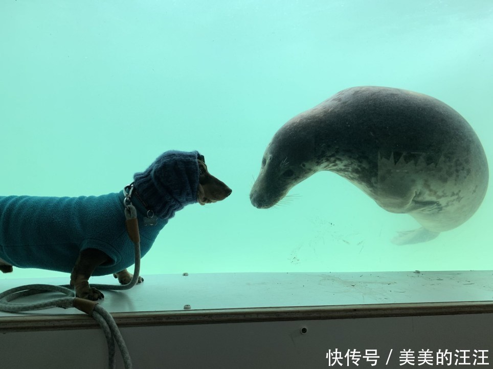 可爱游戏网名：打造独特个性，畅游虚拟世界