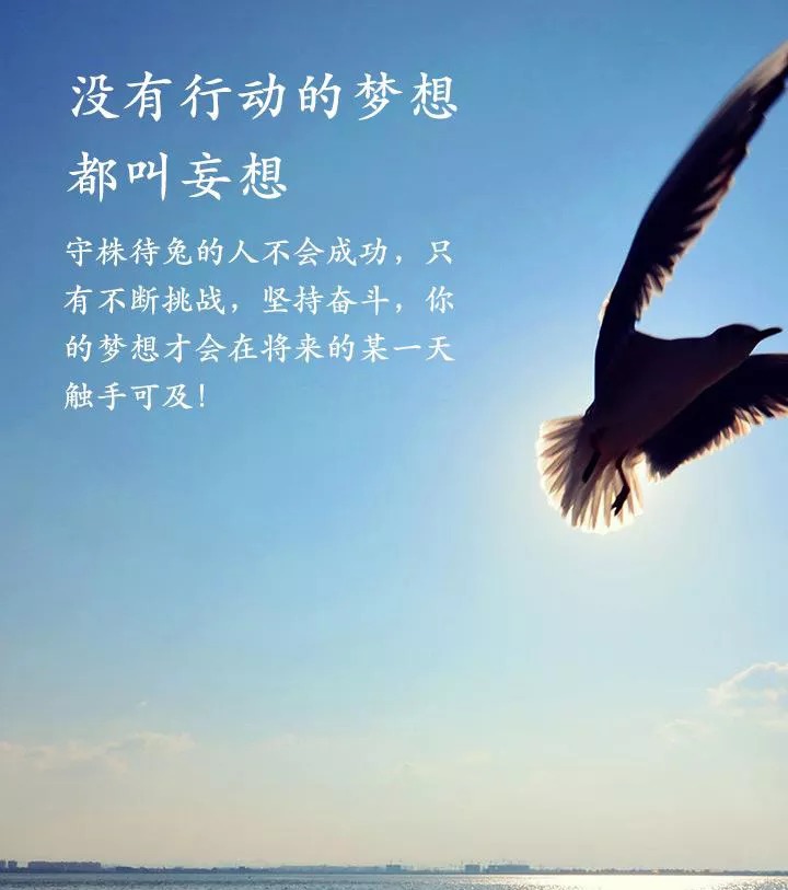 英文名由来的秘密：探索名字背后的故事