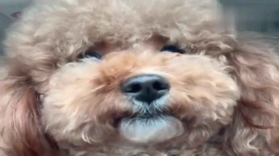 20月女孩：独特命名，记录成长的故事