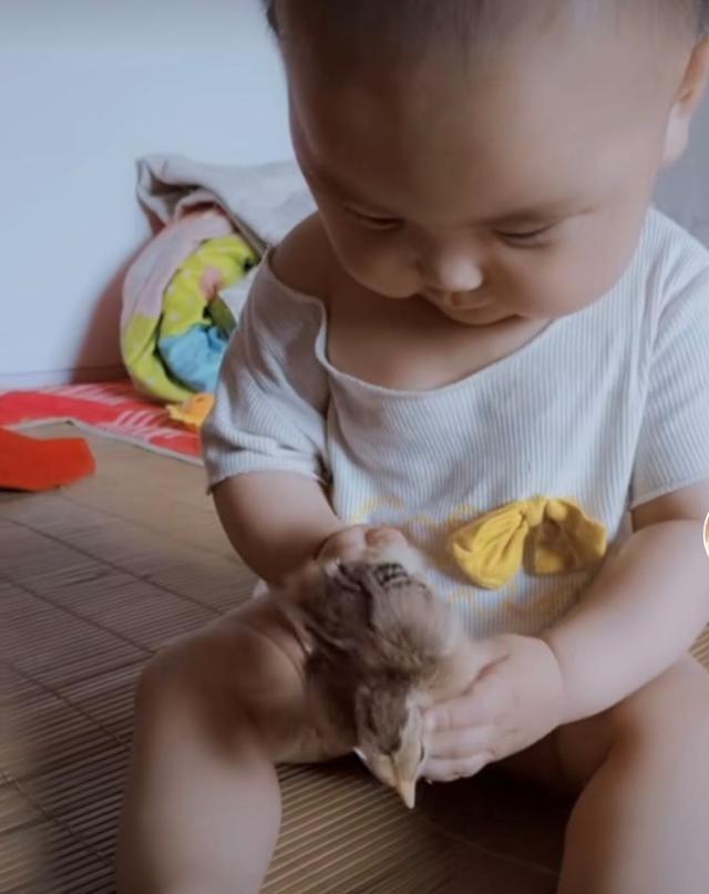 兰性男孩名字：独特韵味，寓意美好