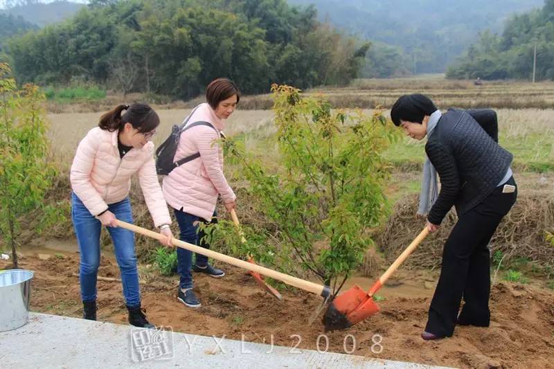 中文名翻译成英文名：取名大师的秘籍攻略
