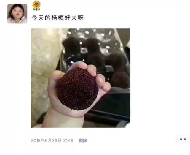 打造个性鲜明的“带红的网名”：让你的ID脱颖而出