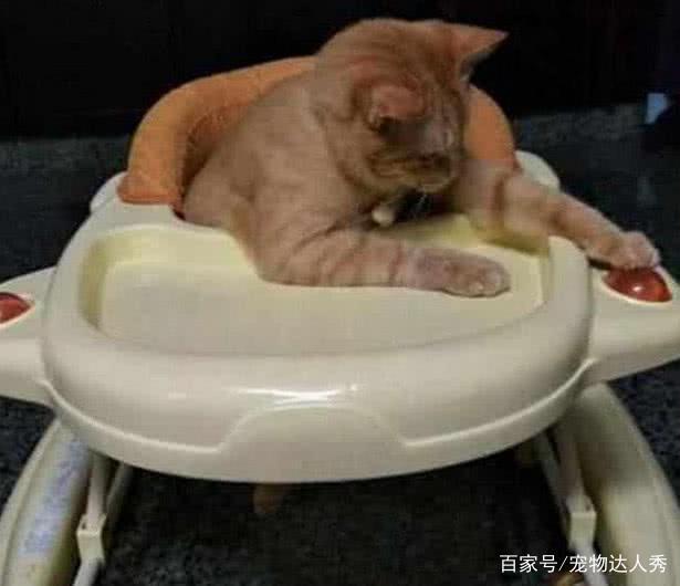 寓意富贵发财的网名：开启你的财富之旅