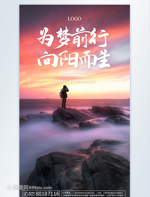 打造独特风格：带金字的网名精选与创作指南
