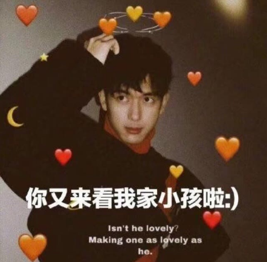 标题：姓何的女孩名字：专业取名大师为您支招